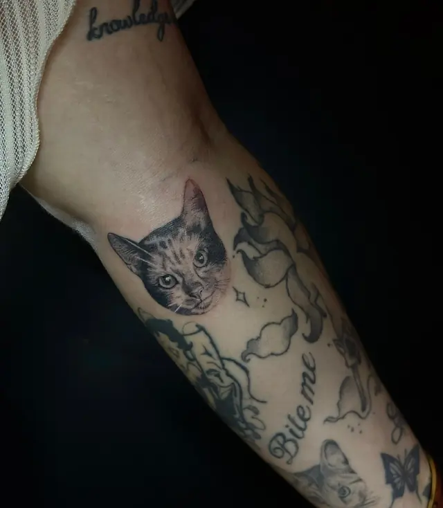 Sleeve met kattenportret en lettering